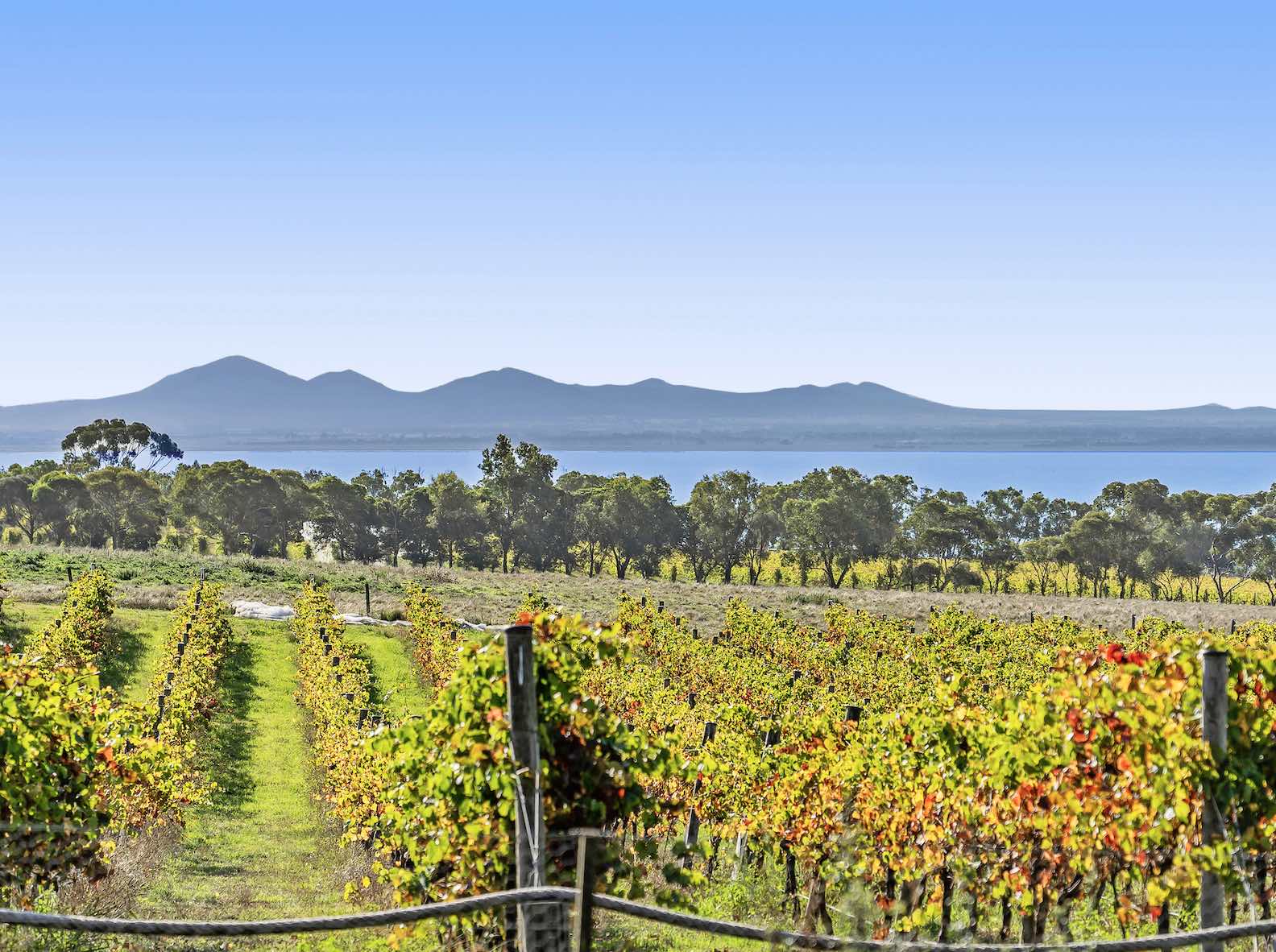 [Land for Sale] Oakden Estate, Drysdale OpenLot